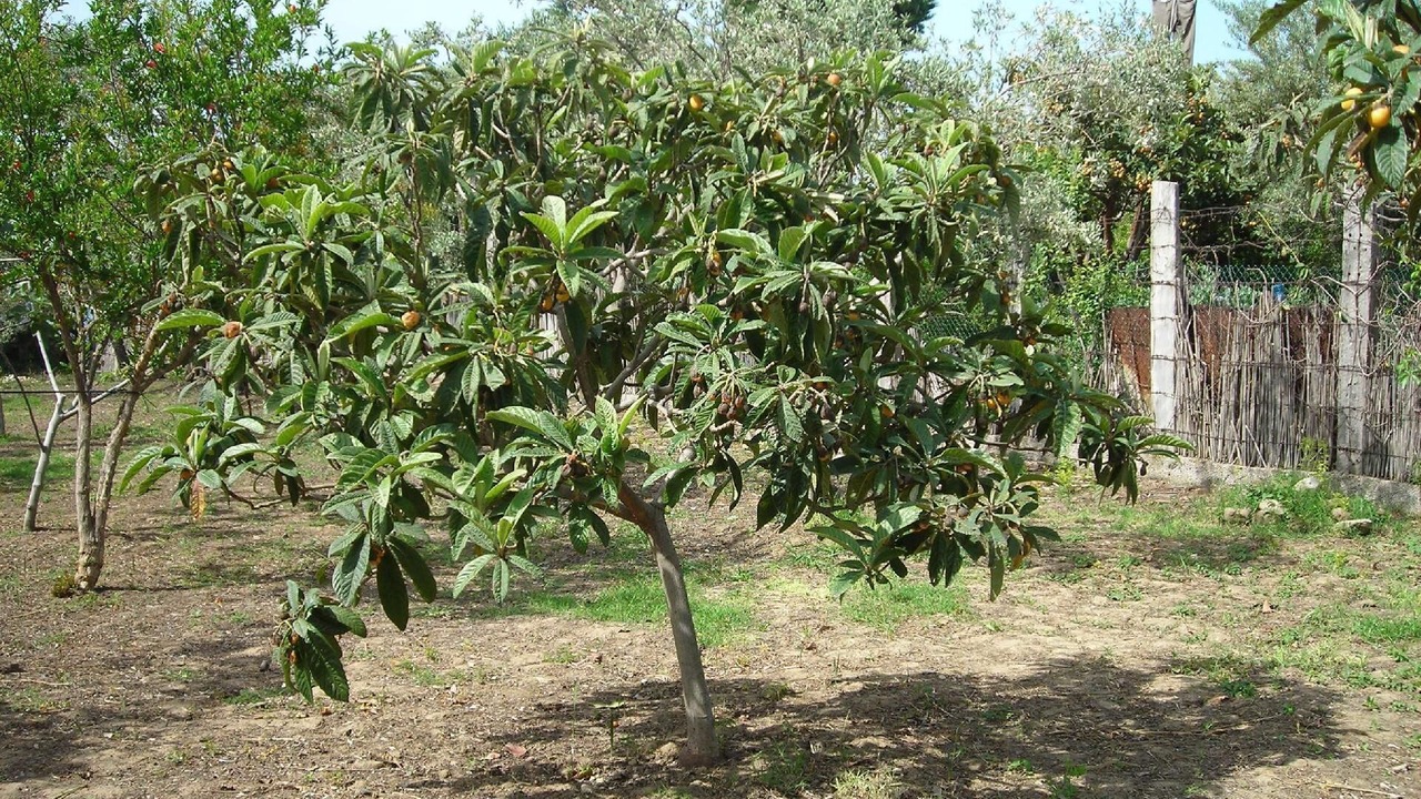 Photo of Outdoor in Acquedolci