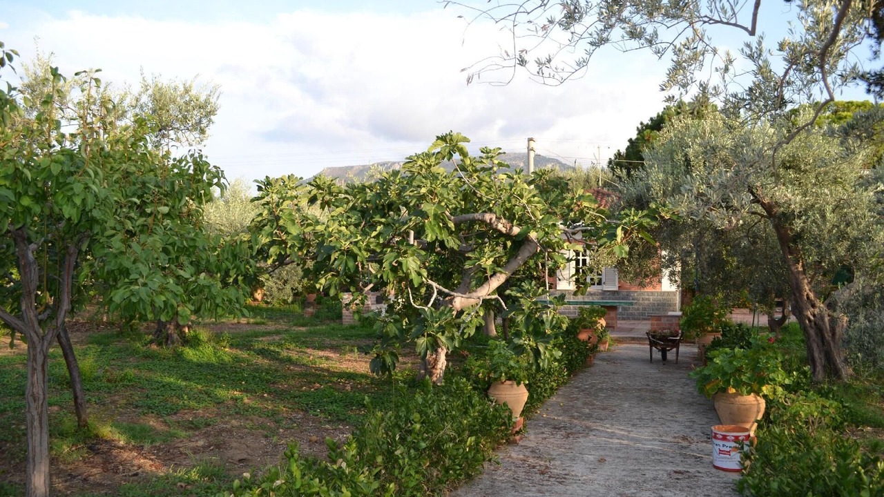 Photo of Outdoor in Acquedolci