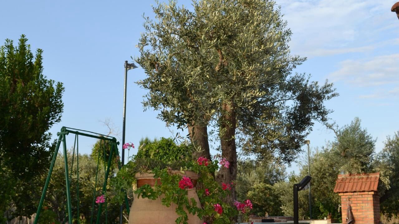 Photo of Outdoor in Acquedolci