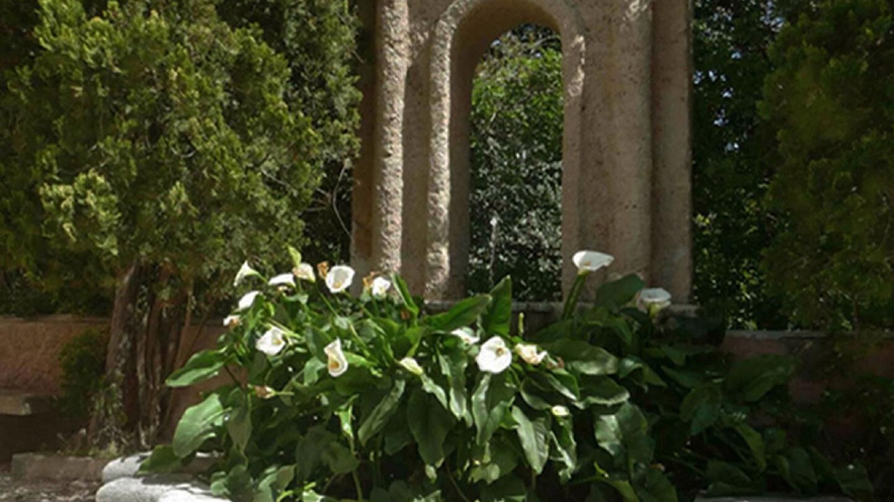 Photo of Outdoor in Porticello
