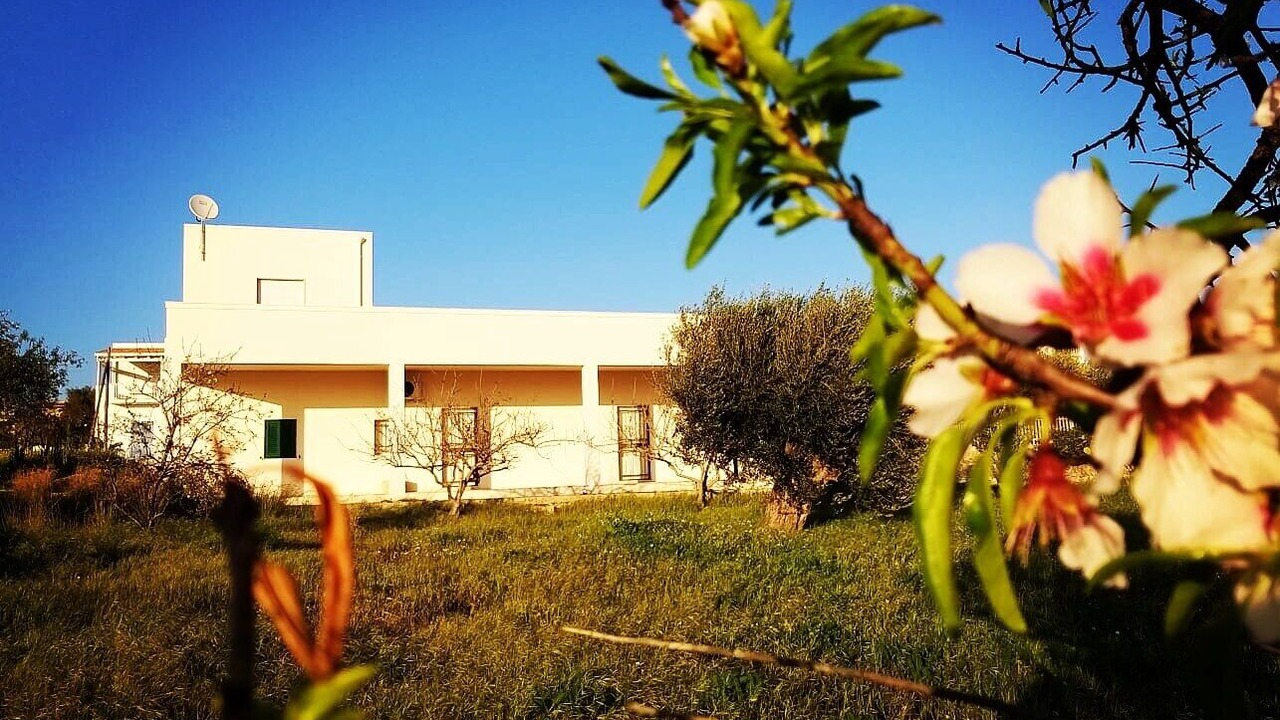 Photo of Outdoor in Cava dʼAliga