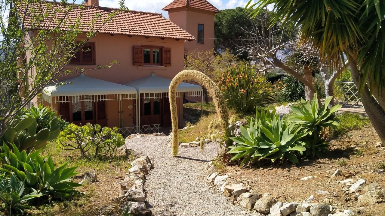 Photo of Outdoor in Porticello