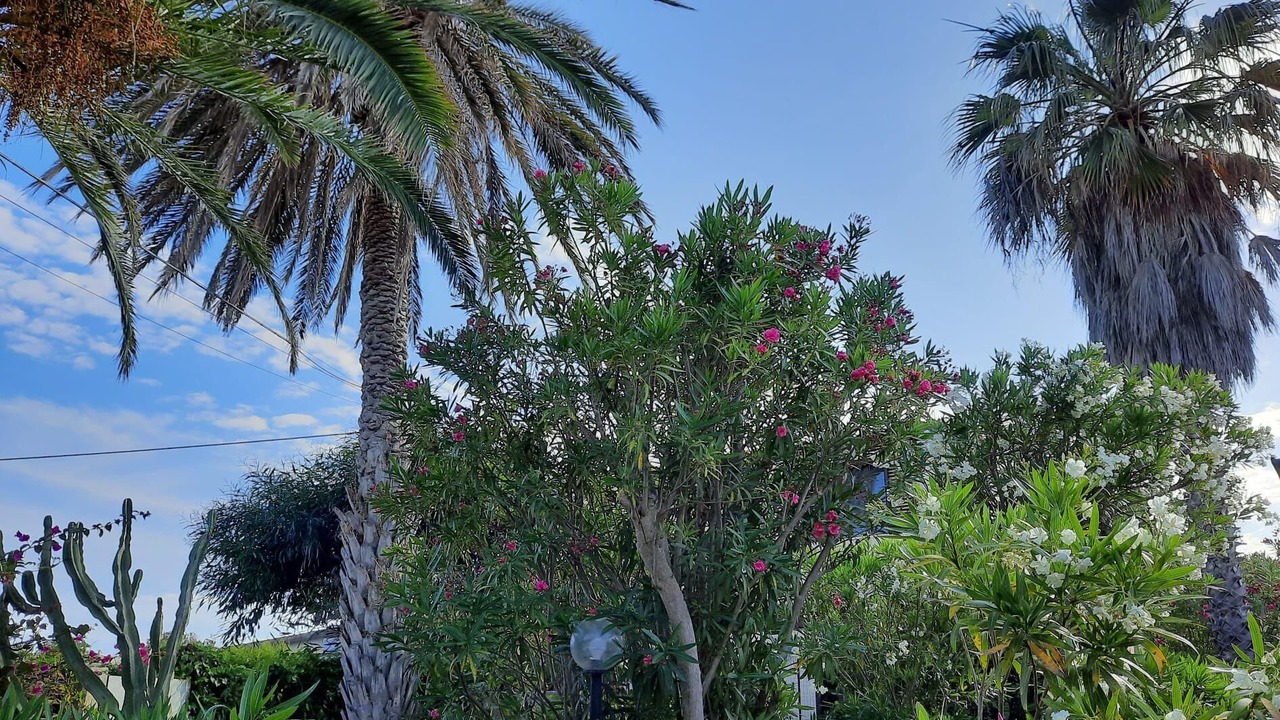 Photo of Outdoor in Marina di Modica