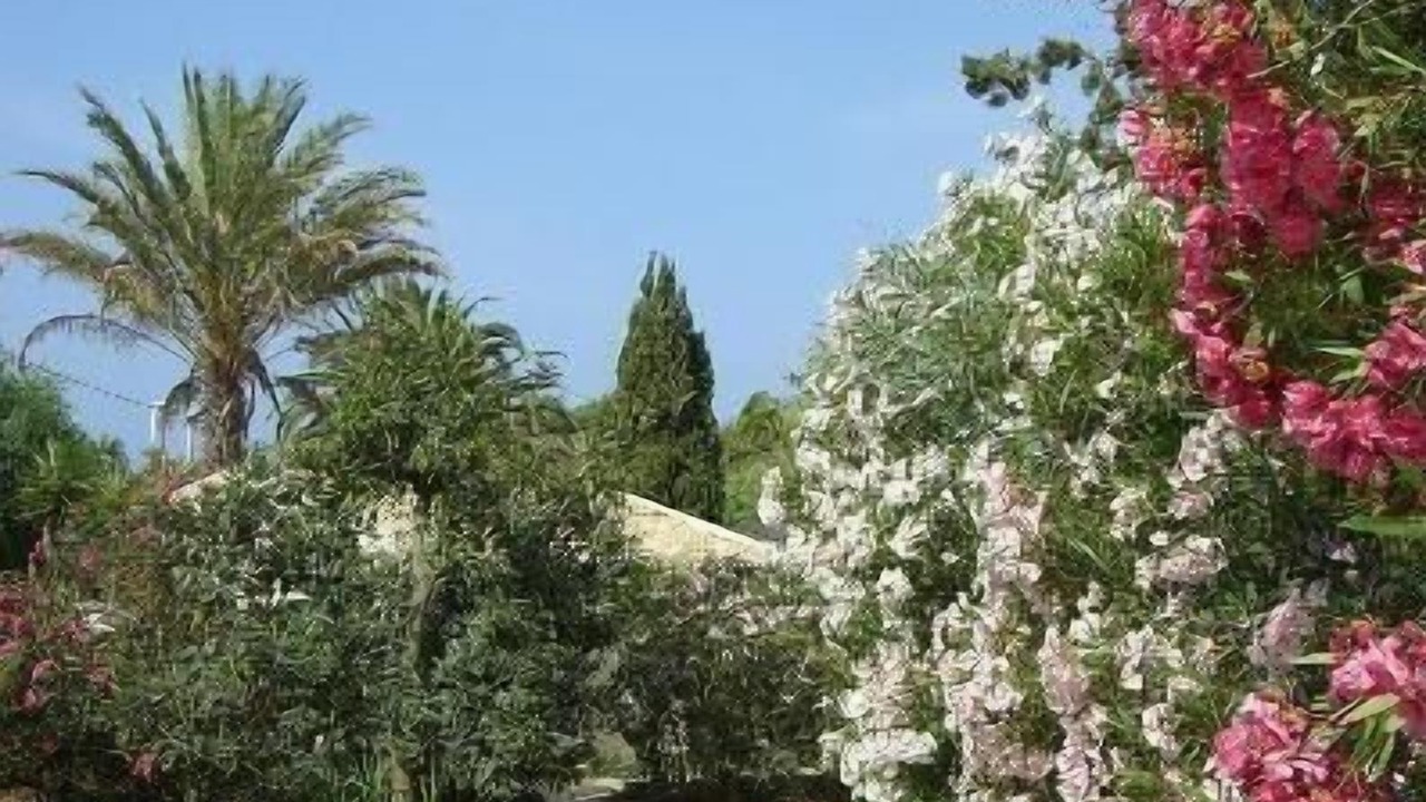 Photo of Outdoor in Marina di Modica