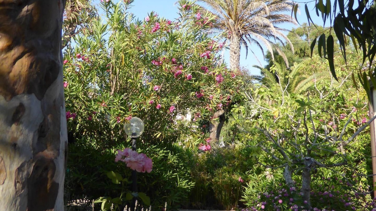 Photo of Outdoor in Marina di Modica
