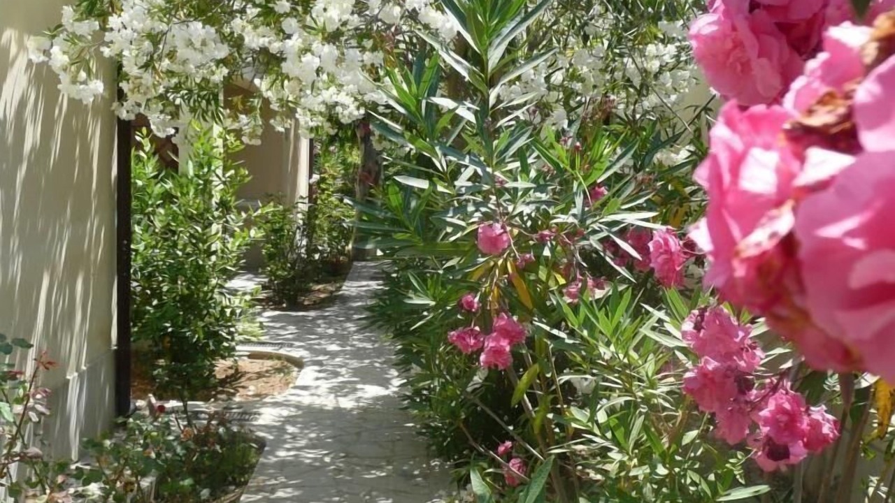 Photo of Outdoor in Marina di Modica