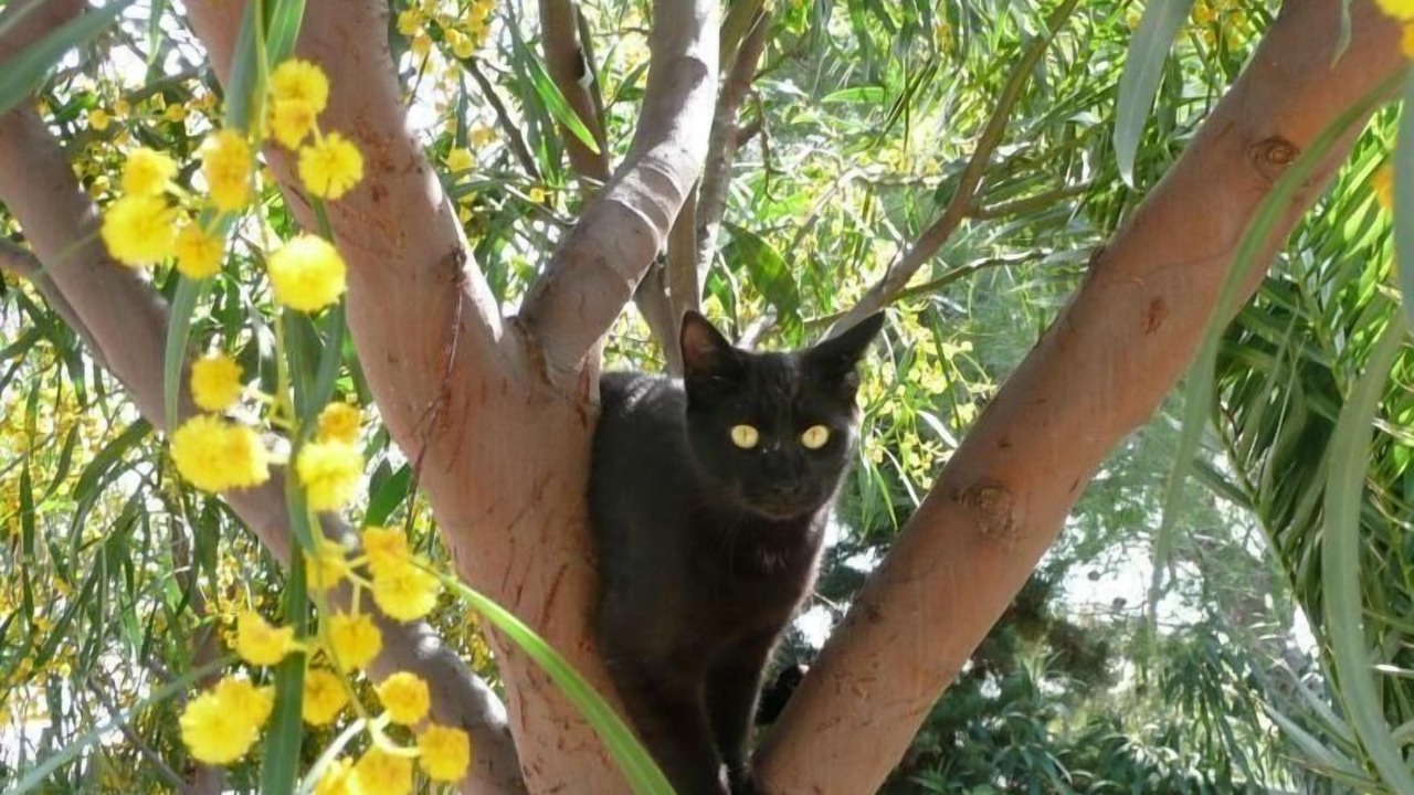 Photo of Outdoor in Marina di Modica