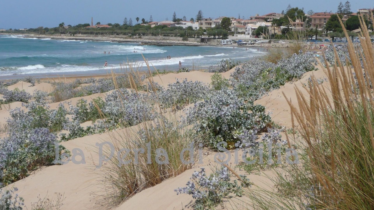 Photo of Others in Marina di Modica