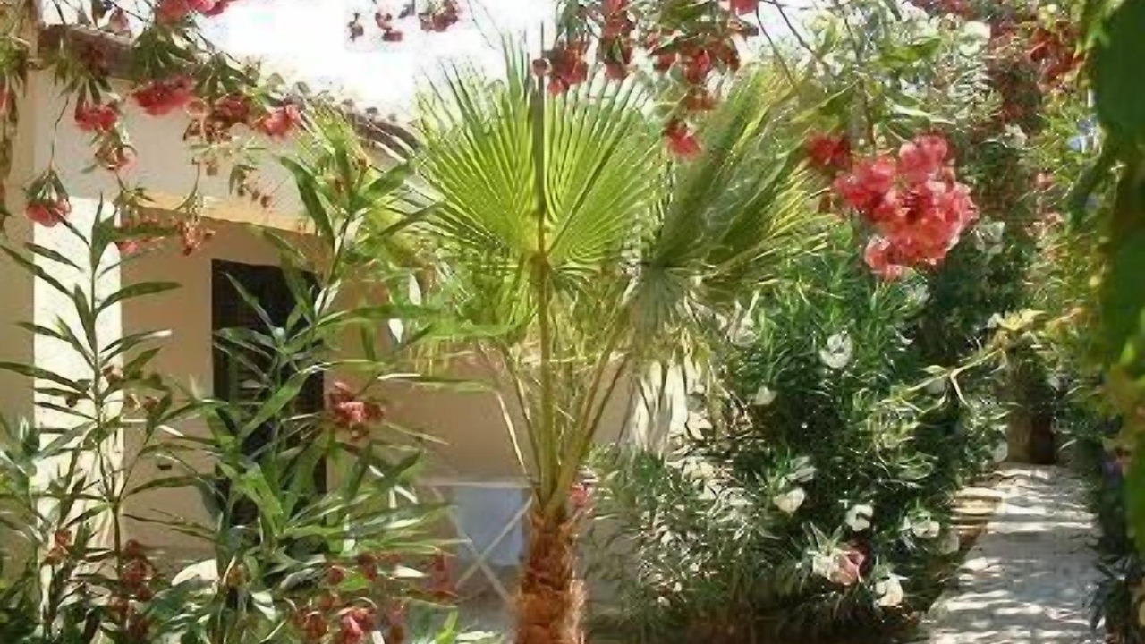 Photo of Outdoor in Marina di Modica