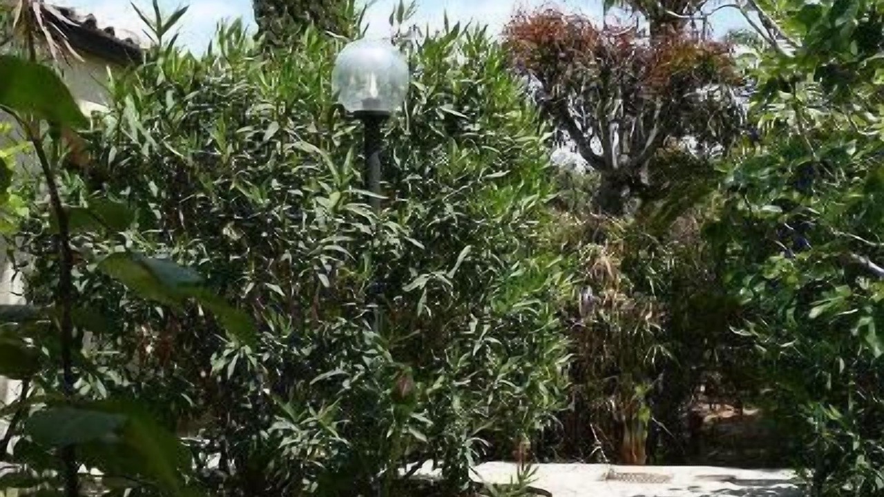 Photo of Outdoor in Marina di Modica