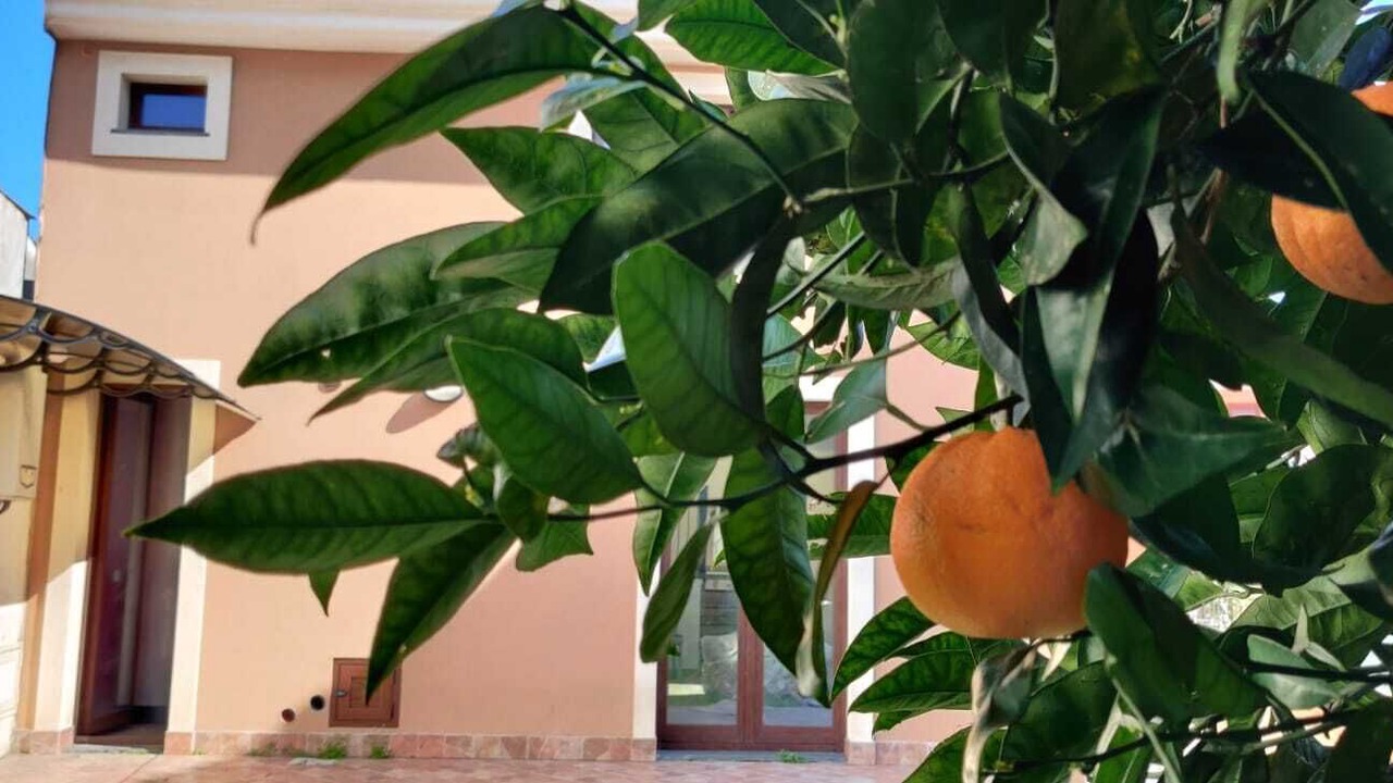 Photo of Outdoor in Santa Venerina
