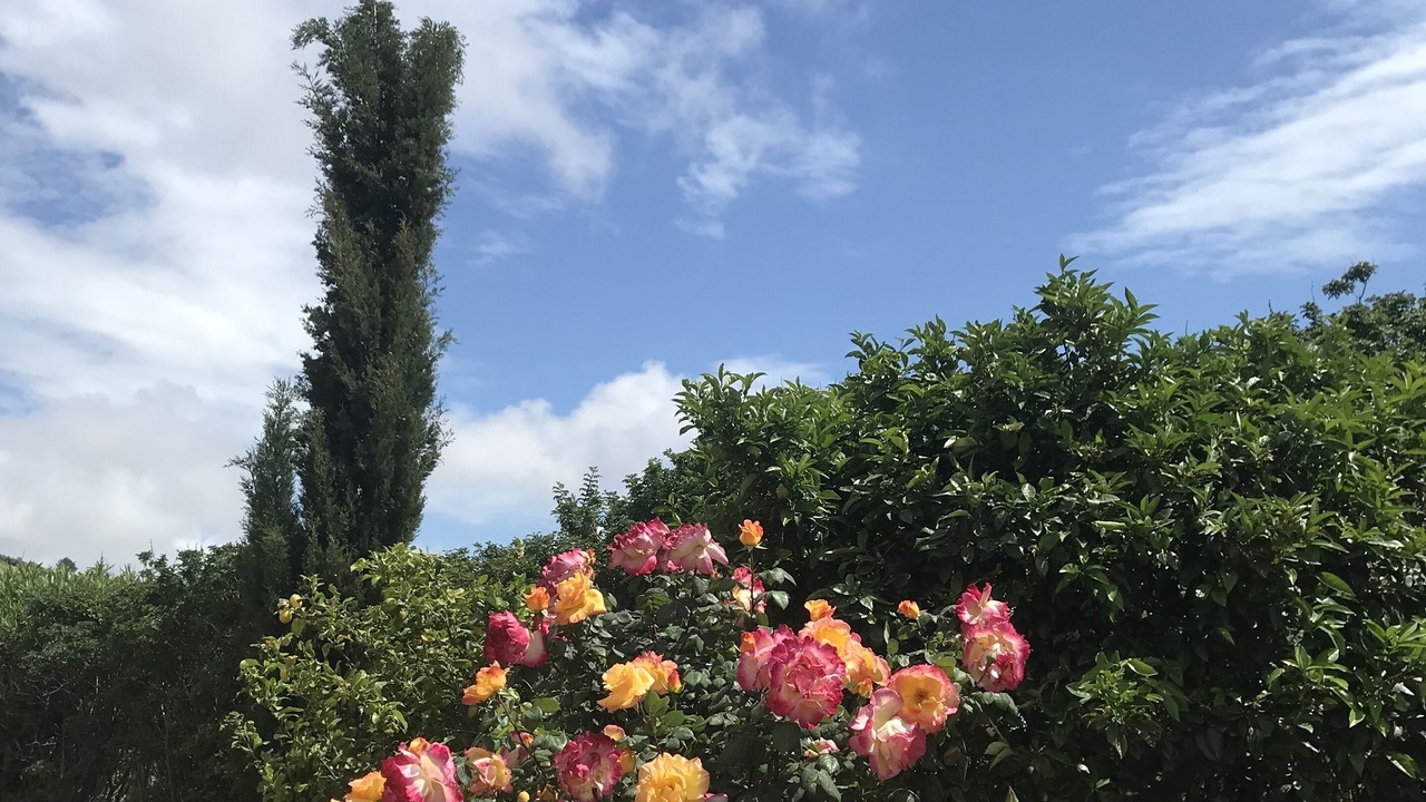 Photo of Outdoor in Agrigento