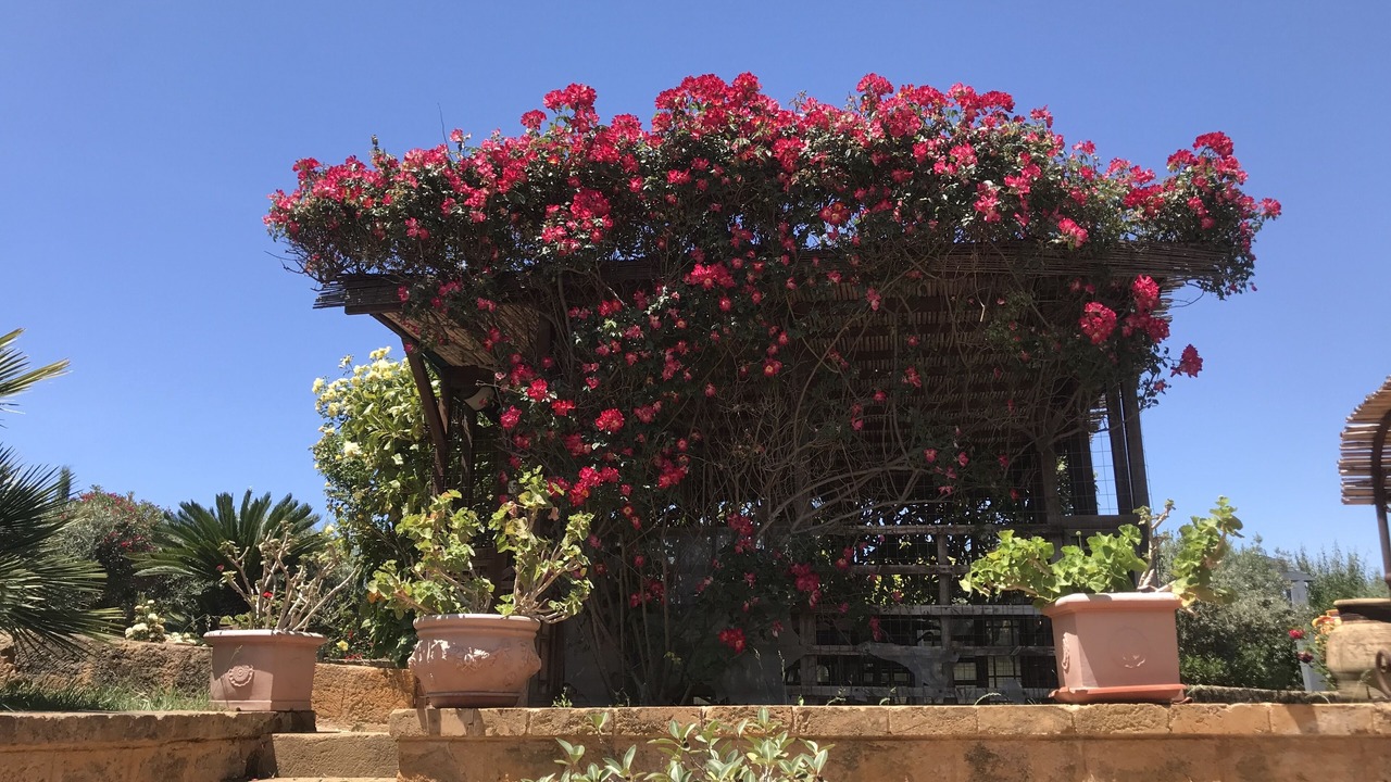Photo of Outdoor in Agrigento