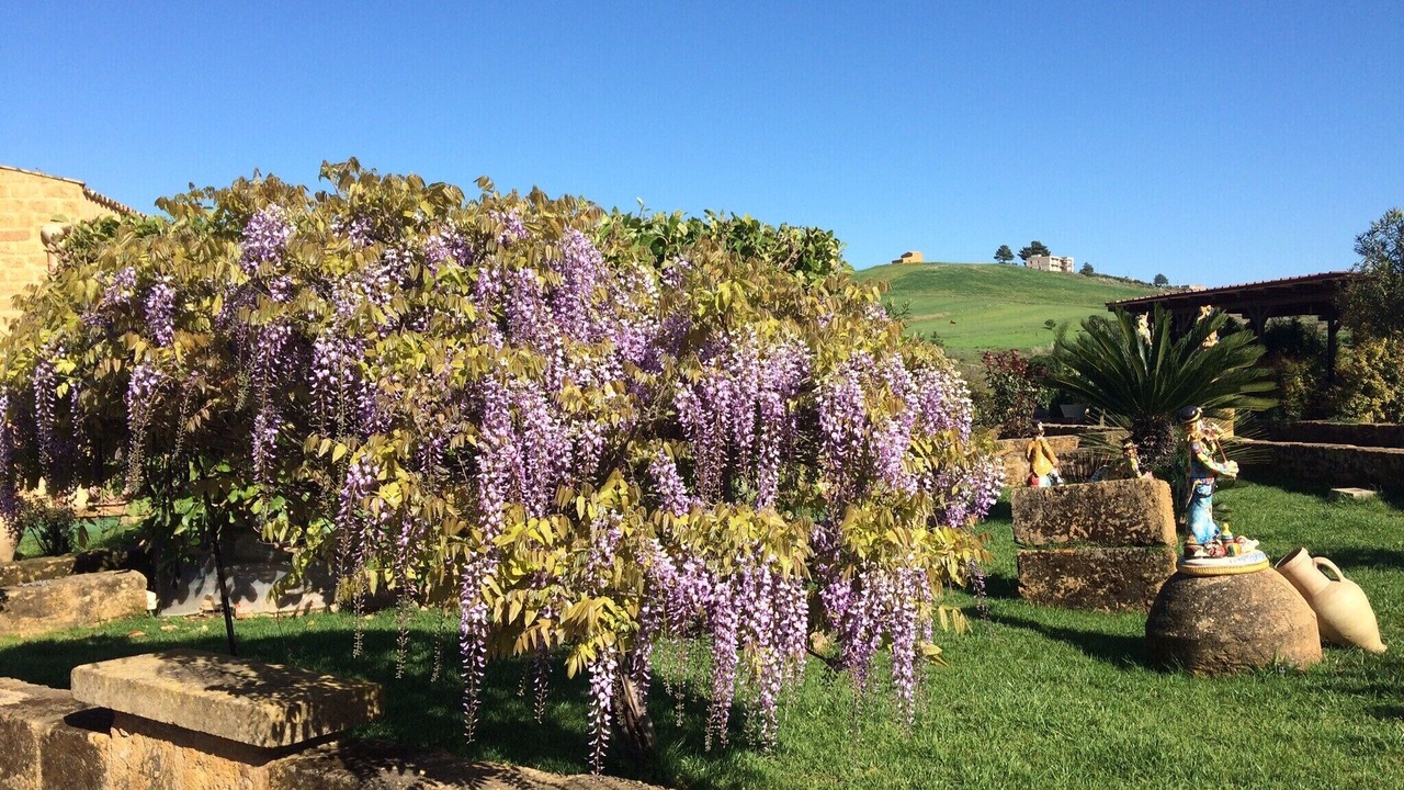 Photo of Outdoor in Agrigento