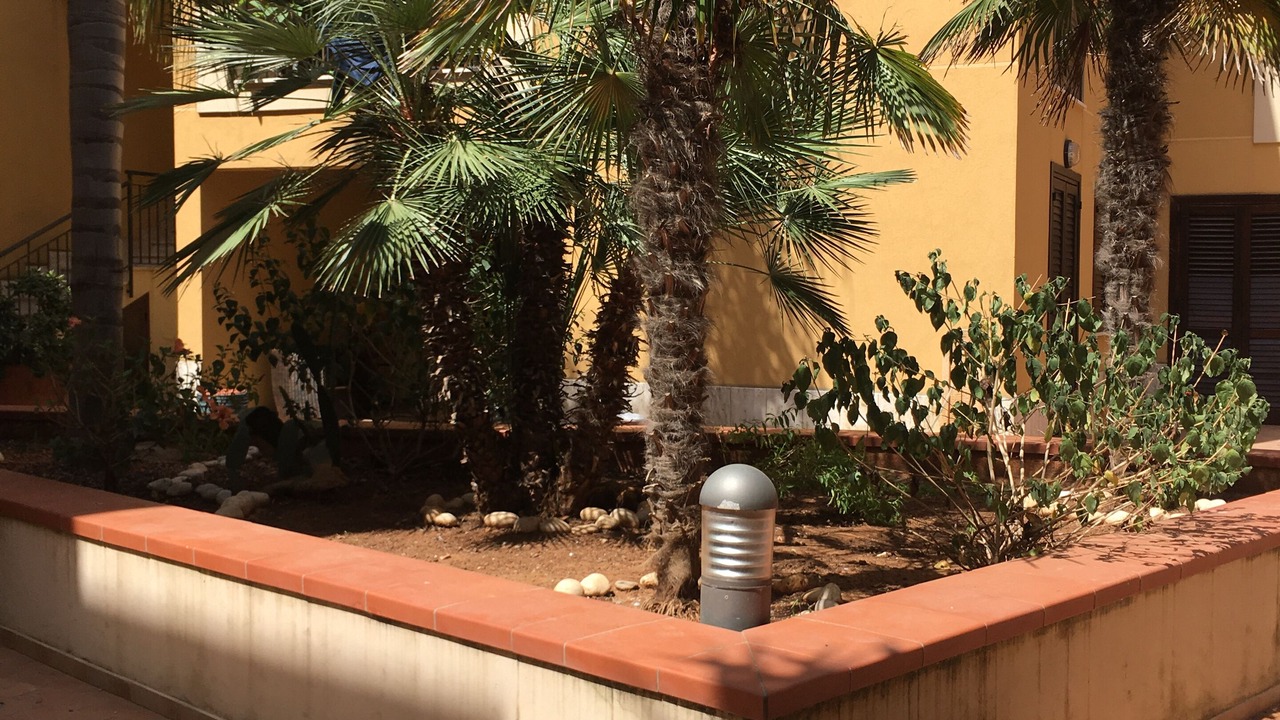 Photo of Outdoor in Marinella di Selinunte