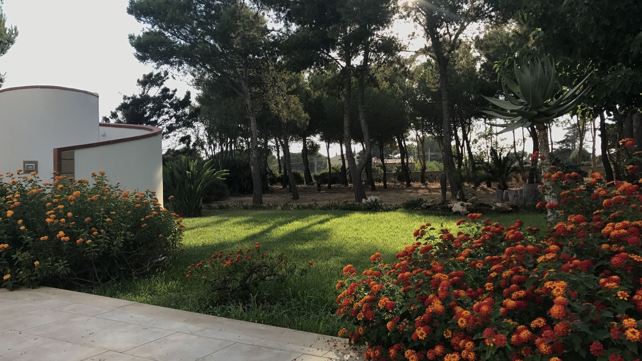 Photo of Outdoor in Plemmirio