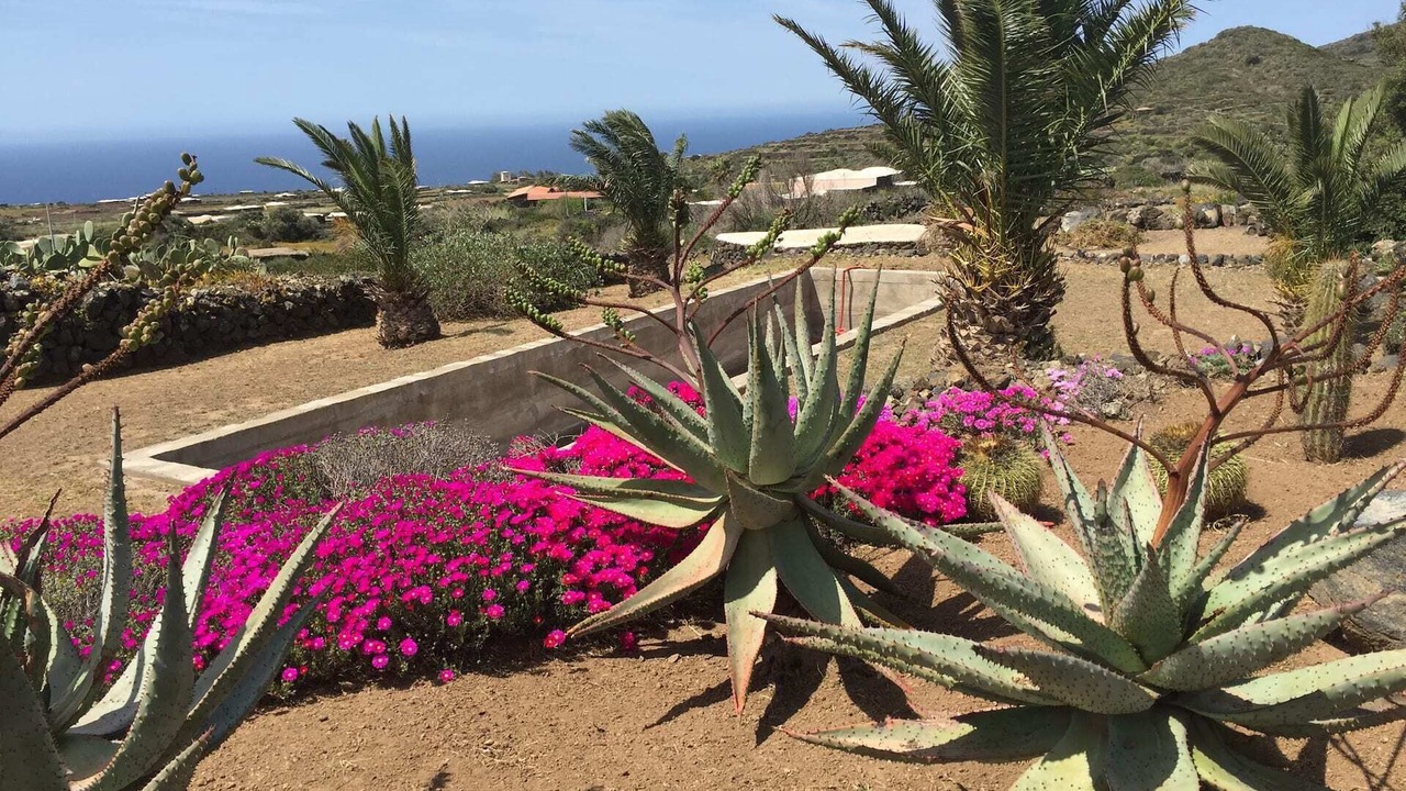 Photo of Others in Pantelleria