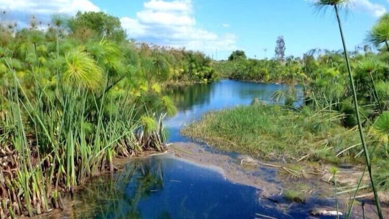 Photo of Others in Floridia