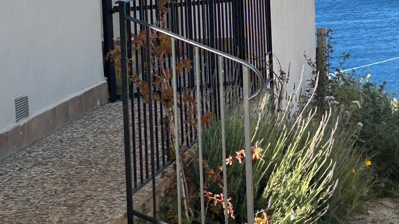 Photo of Outdoor in Mockarta