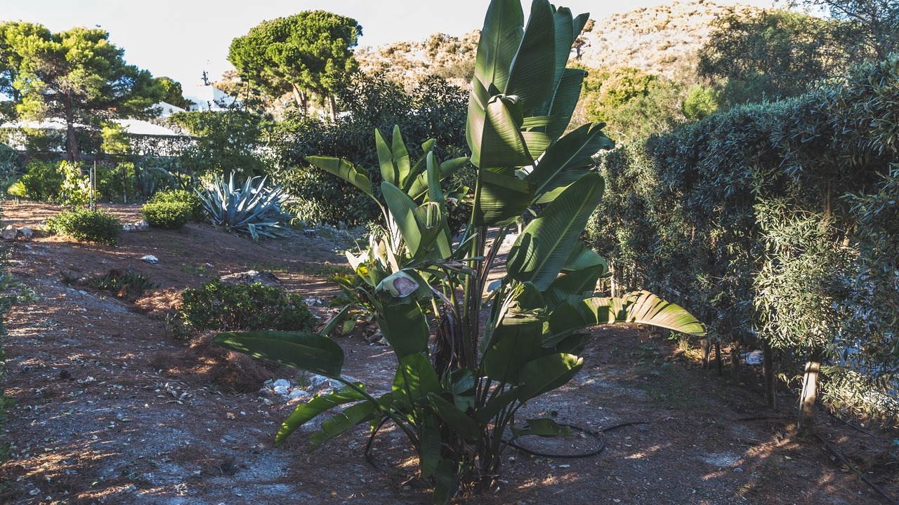 Photo of Outdoor in Vulcanello