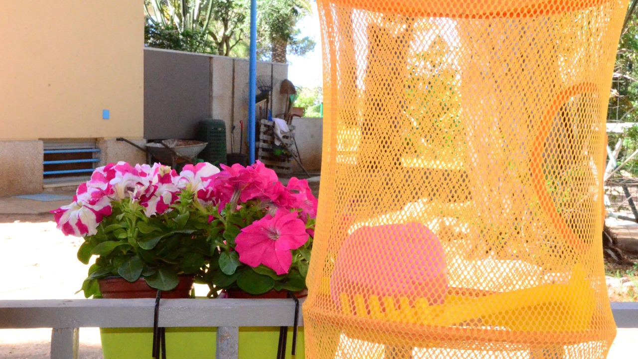 Photo of Patio Balcony in Mondello