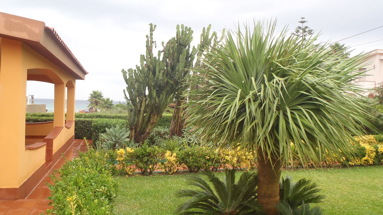 Photo of Outdoor in Pachino