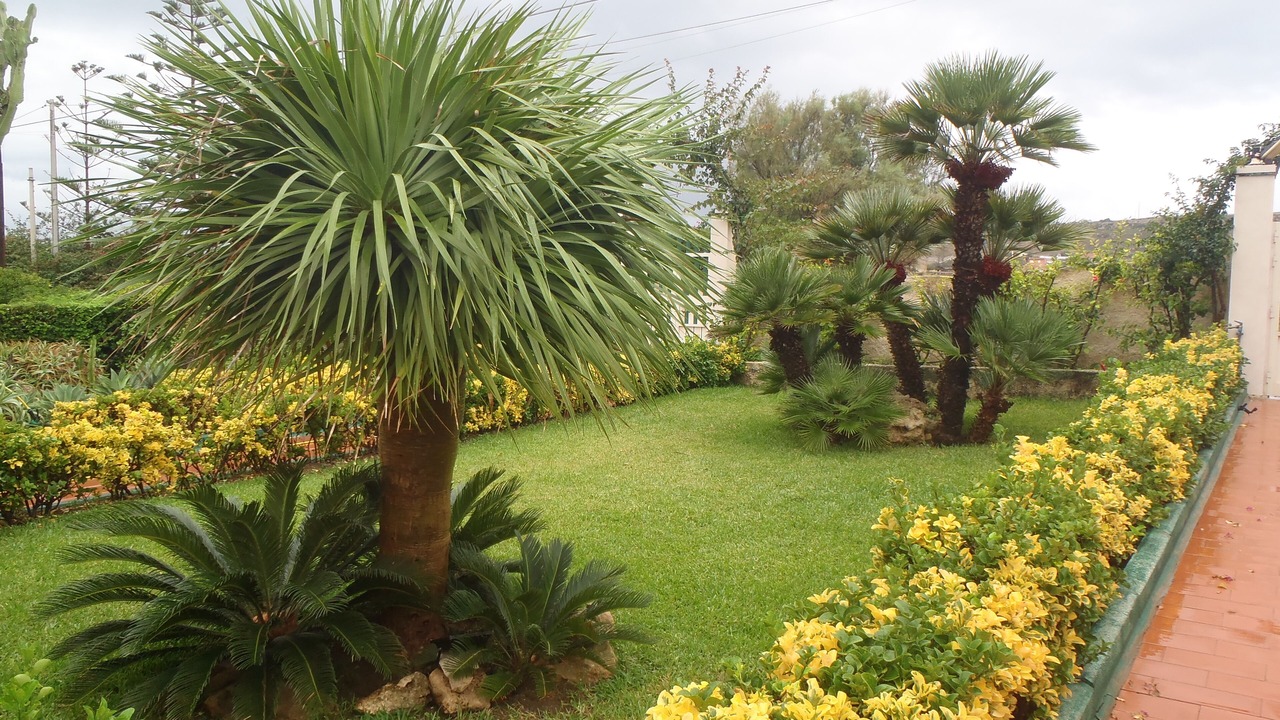 Photo of Outdoor in Pachino