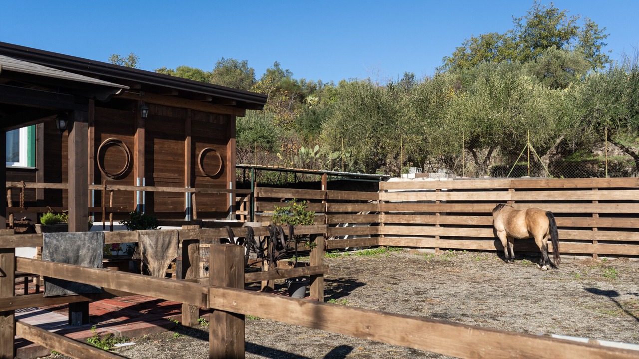 Photo of Outdoor in Piedimonte Etneo