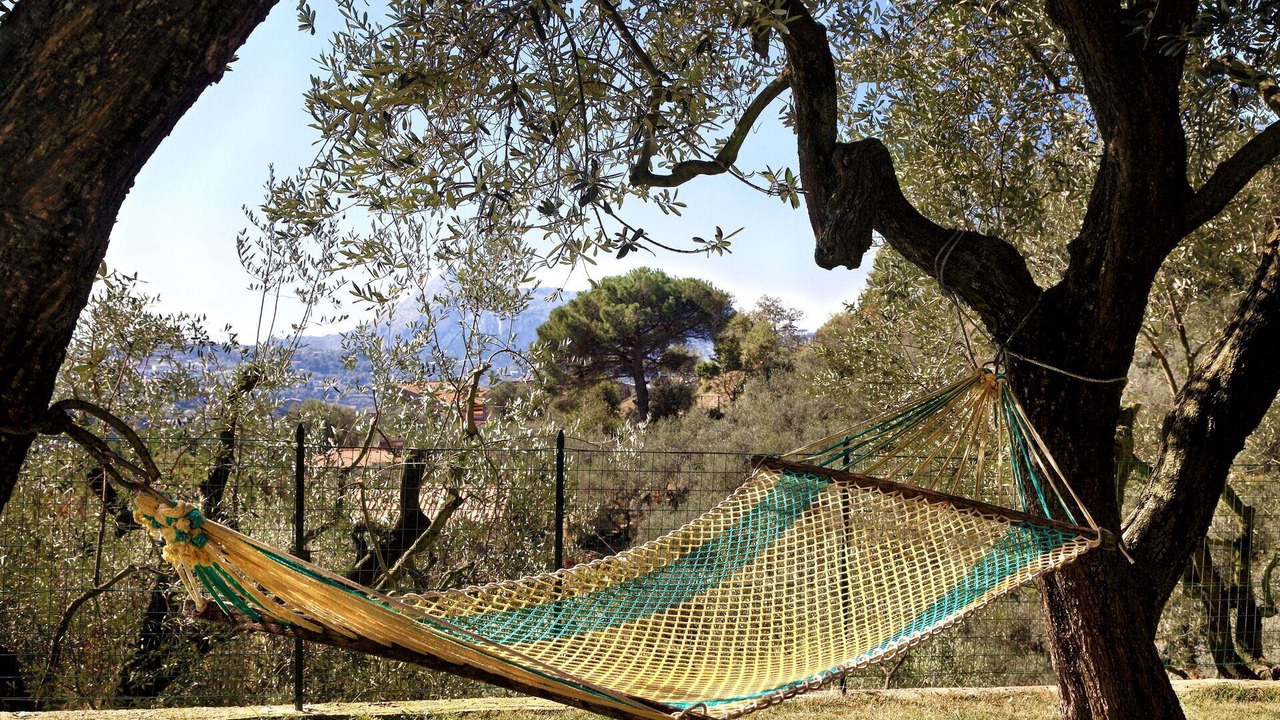 Photo of Others in Sant'Agata sui Due Golfi