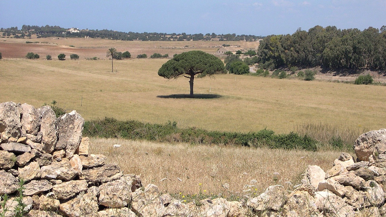 Photo of Outdoor in Punta Secca