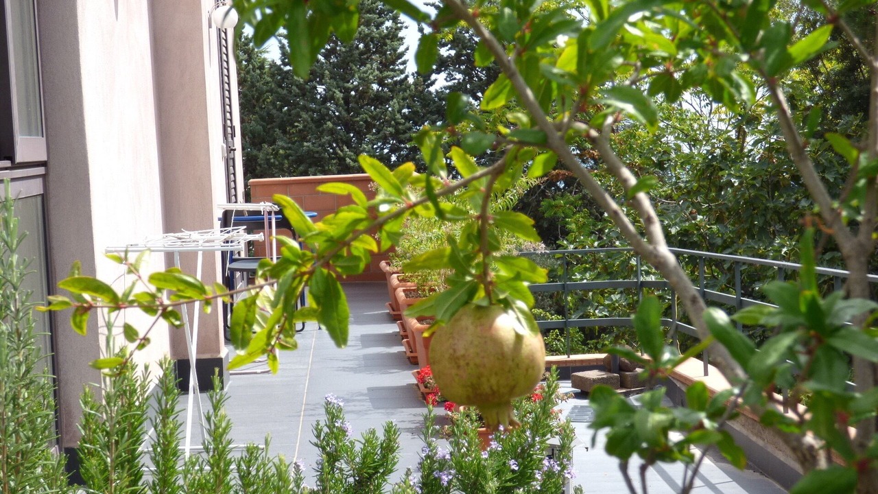 Photo of Patio Balcony in Nicolosi