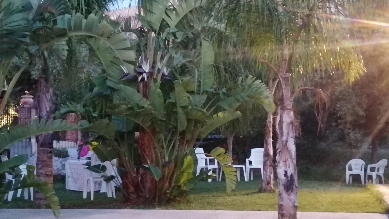 Photo of Outdoor in Villa Grazia di Carini