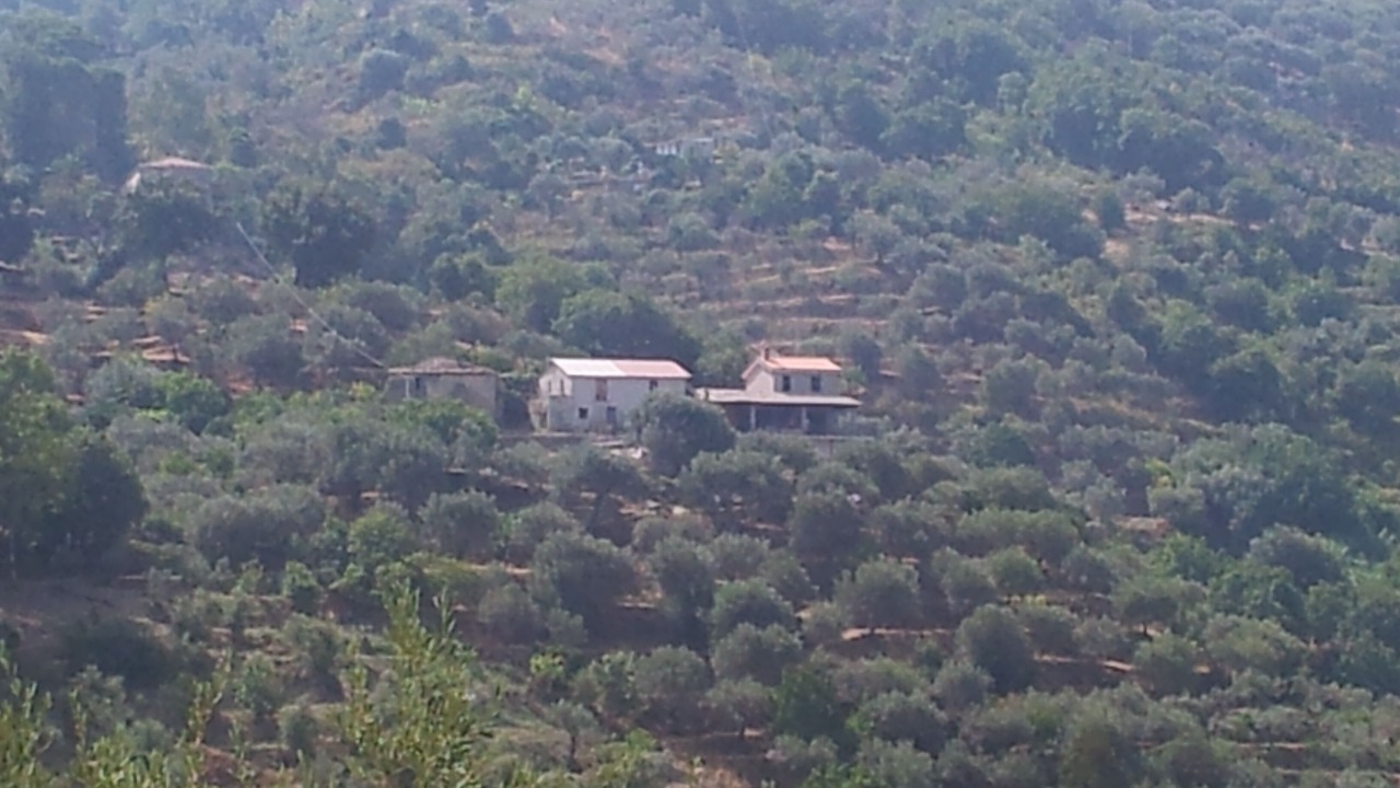 Photo of Outdoor in Capri Leone