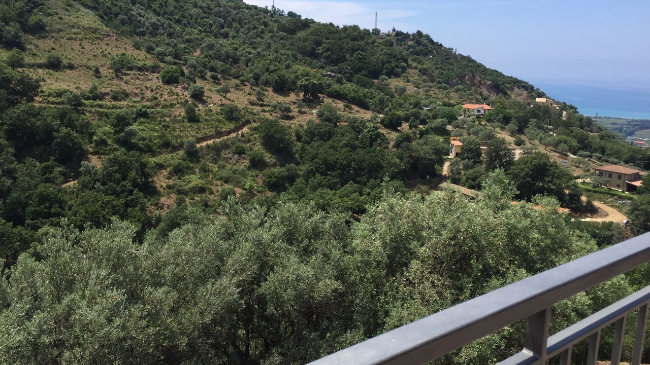 Photo of Outdoor in Capri Leone