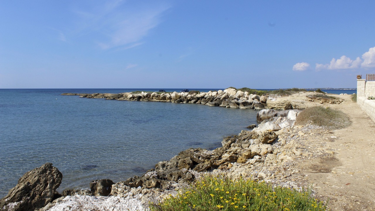 Photo of Others in Granelli