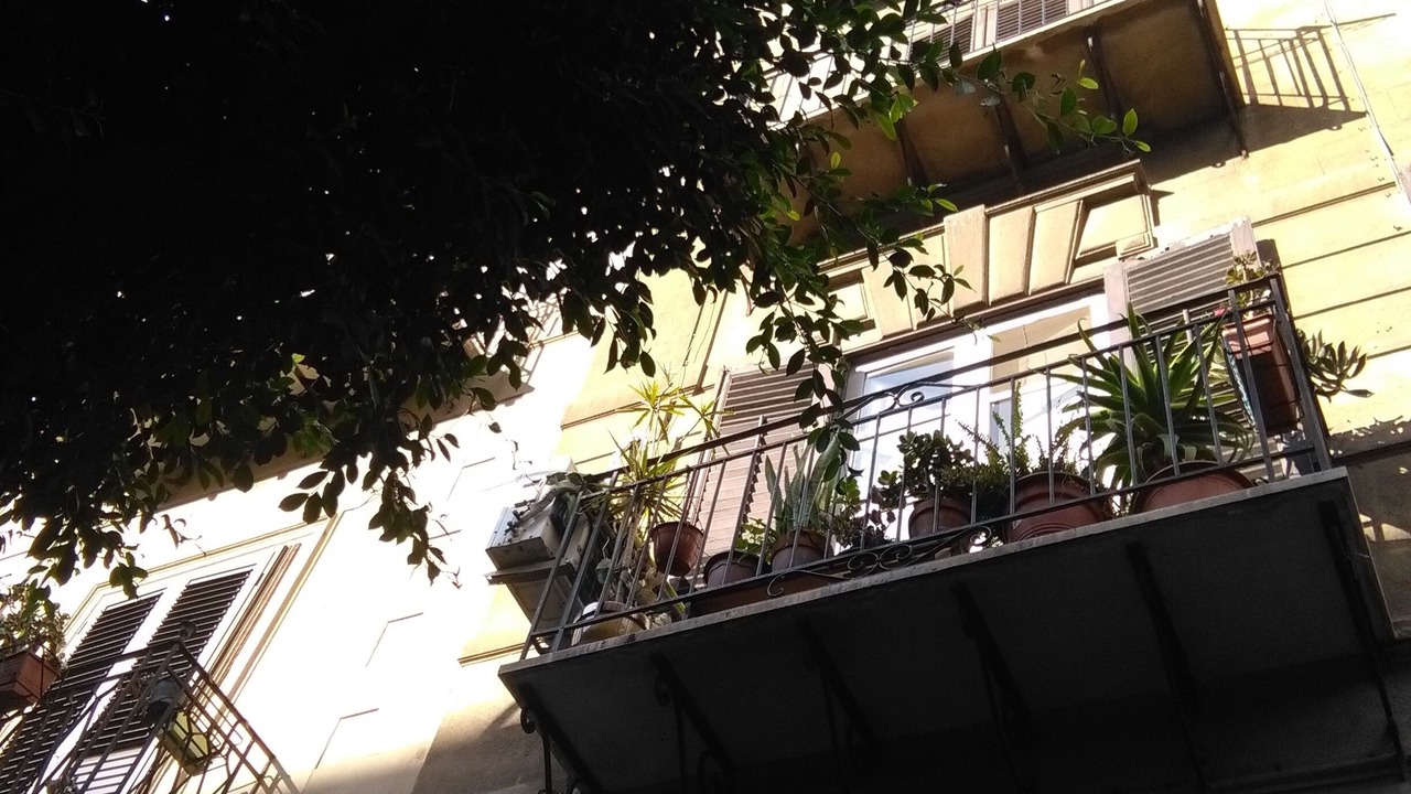 Photo of Outdoor in Palermo