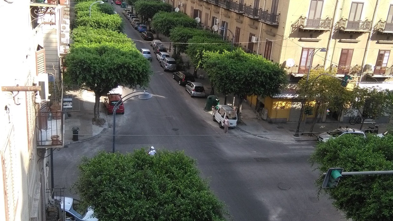 Photo of Others in Palermo
