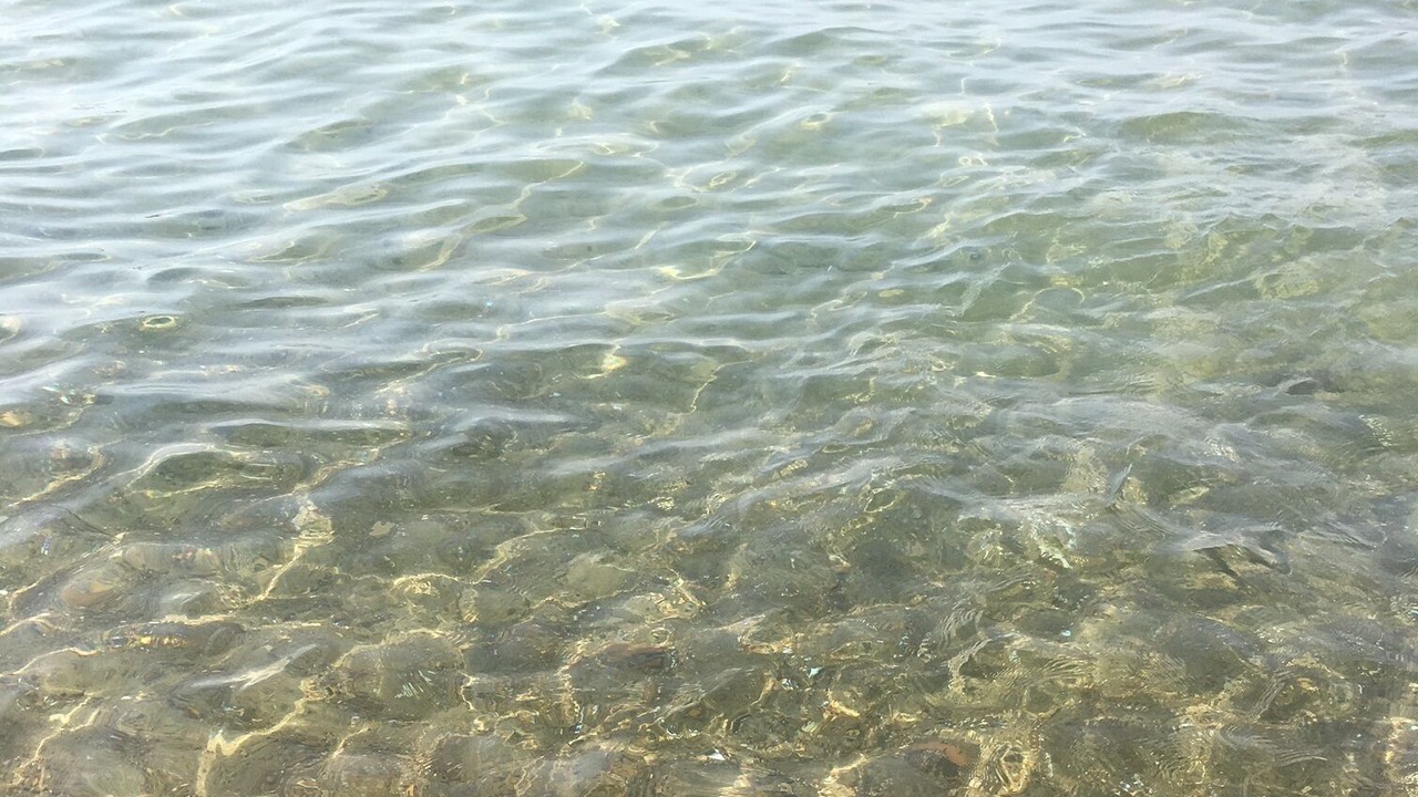 Photo of Others in Alcamo Marina