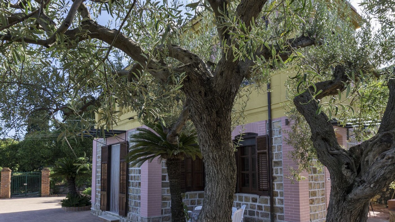 Photo of Outdoor in Cefalu