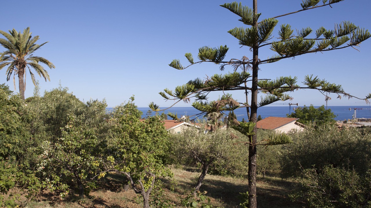 Photo of Outdoor in Cefalu