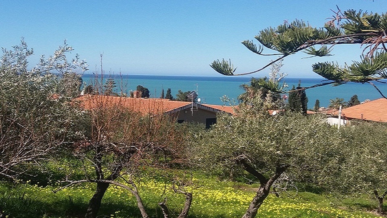 Photo of Others in Cefalu