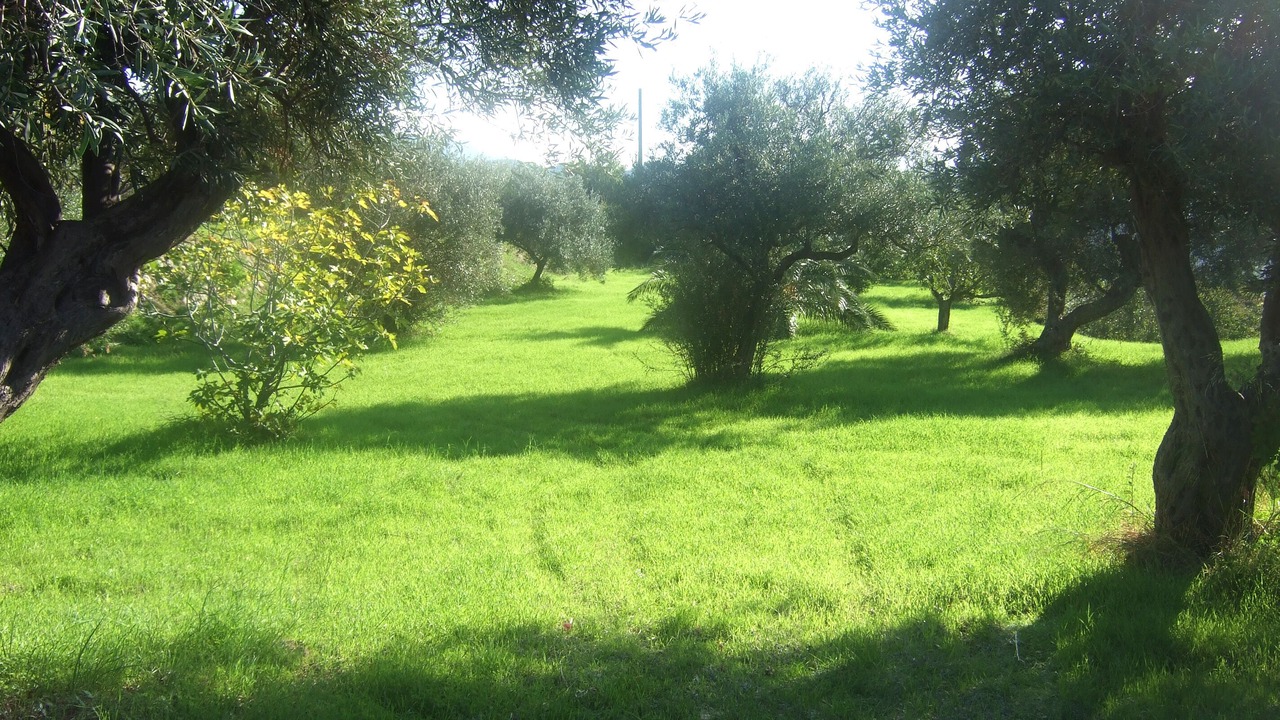 Photo of Others in Villafranca Tirrena