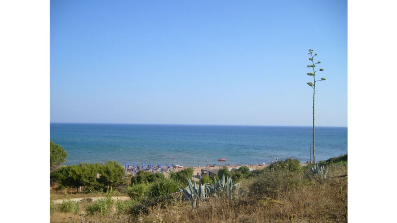 Photo of Others in Marinella di Selinunte