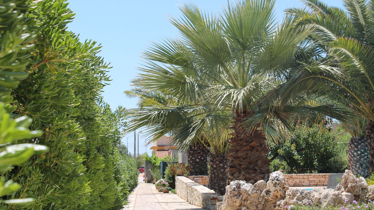 Photo of Outdoor in Marinella di Selinunte