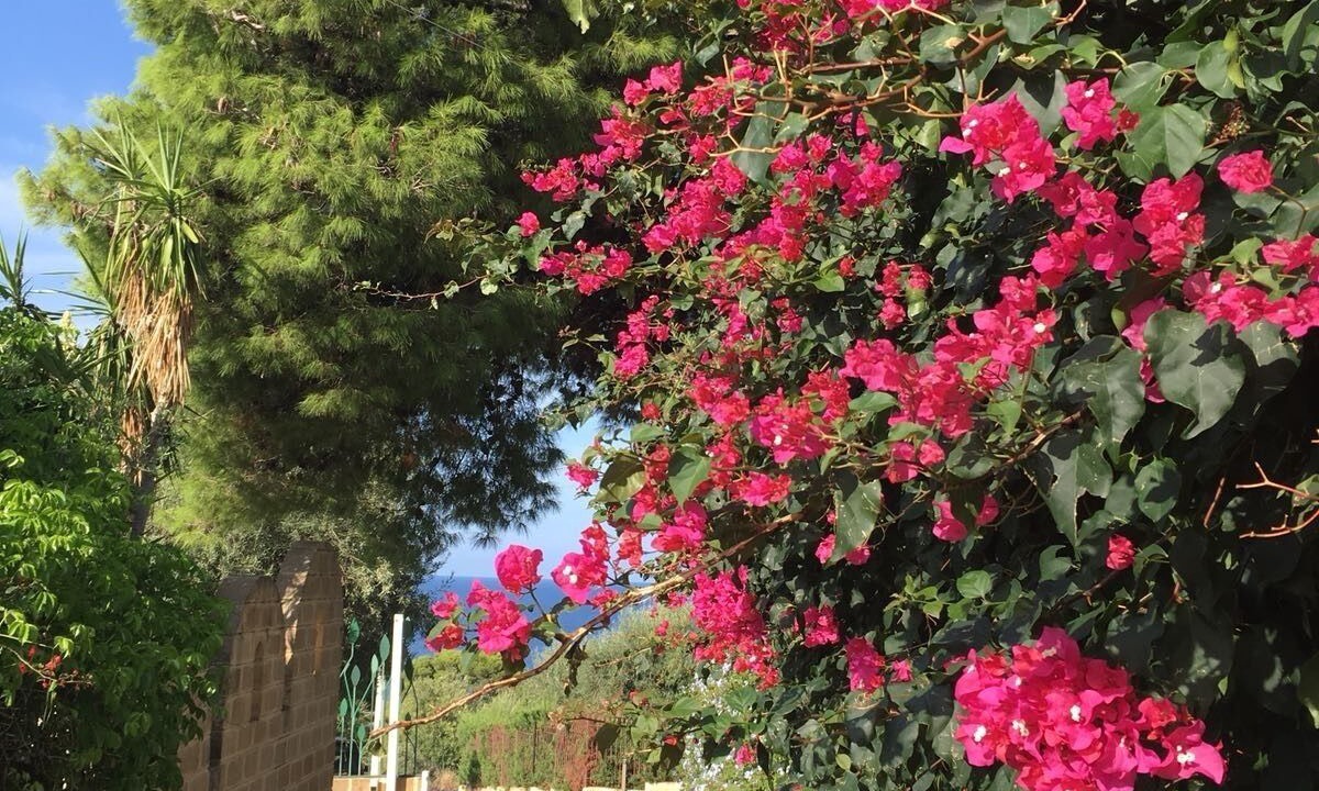 Photo of Outdoor in Termini Imerese