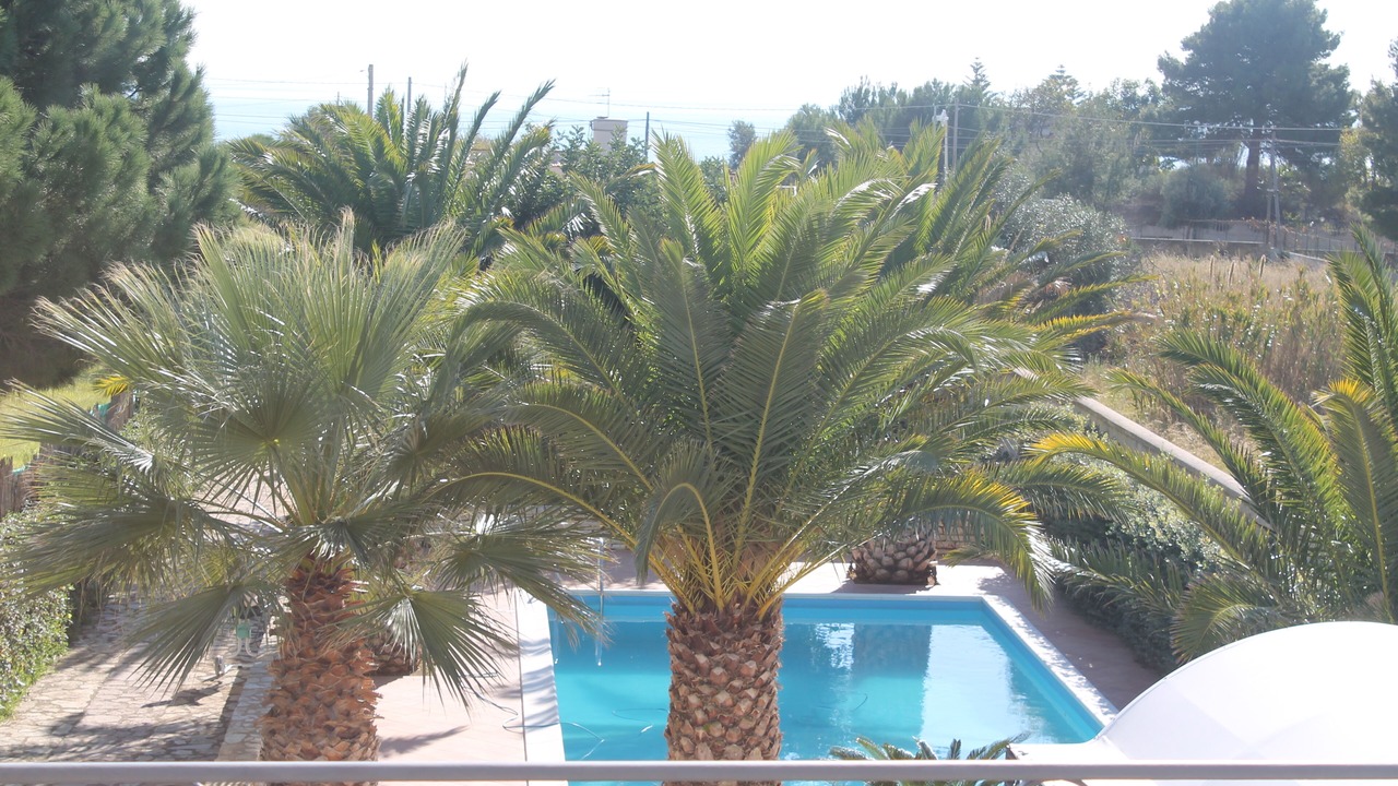 Photo of Outdoor in Marinella di Selinunte