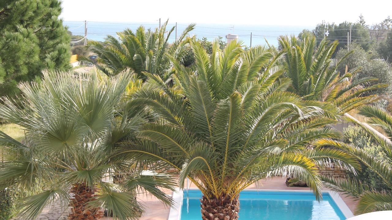 Photo of Outdoor in Marinella di Selinunte