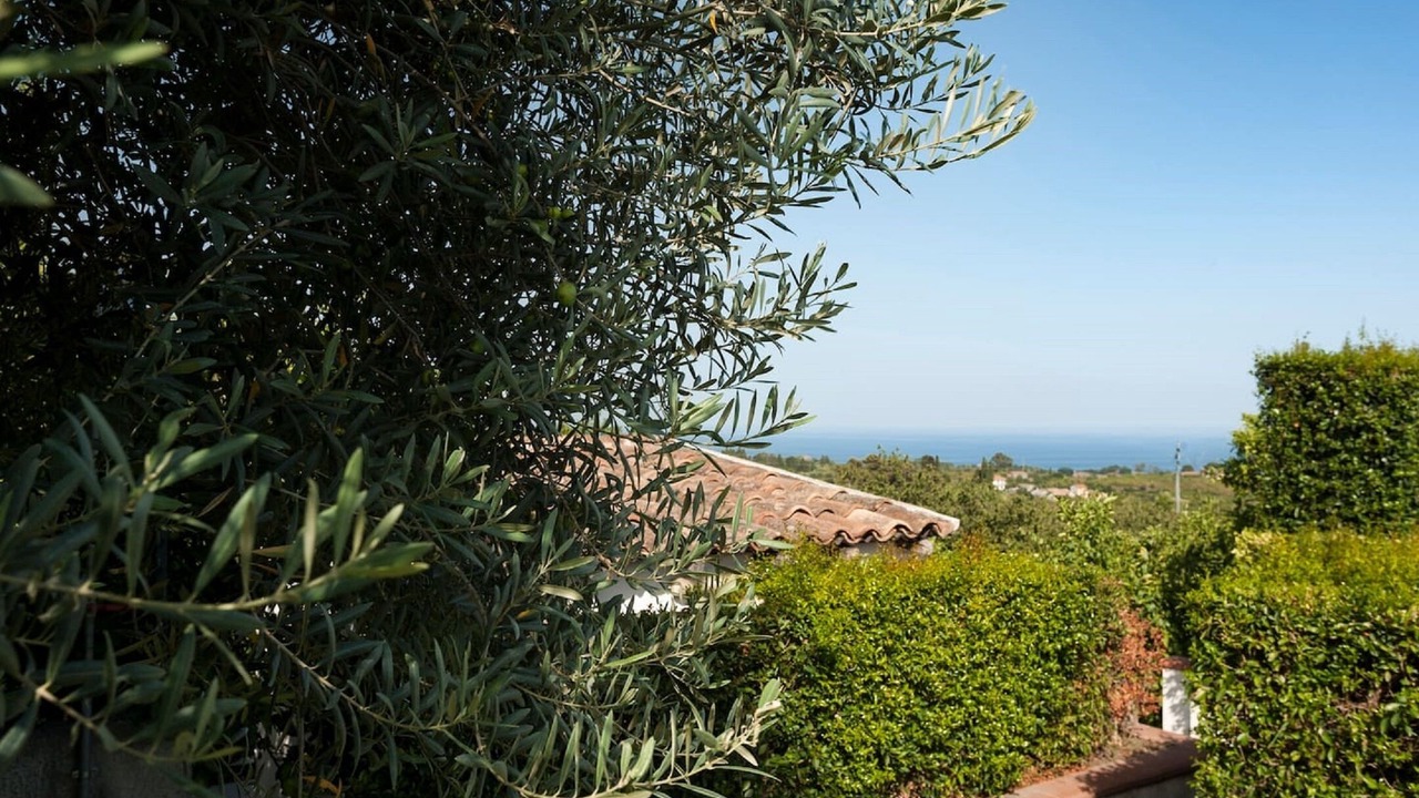 Photo of Outdoor in Santa Venerina