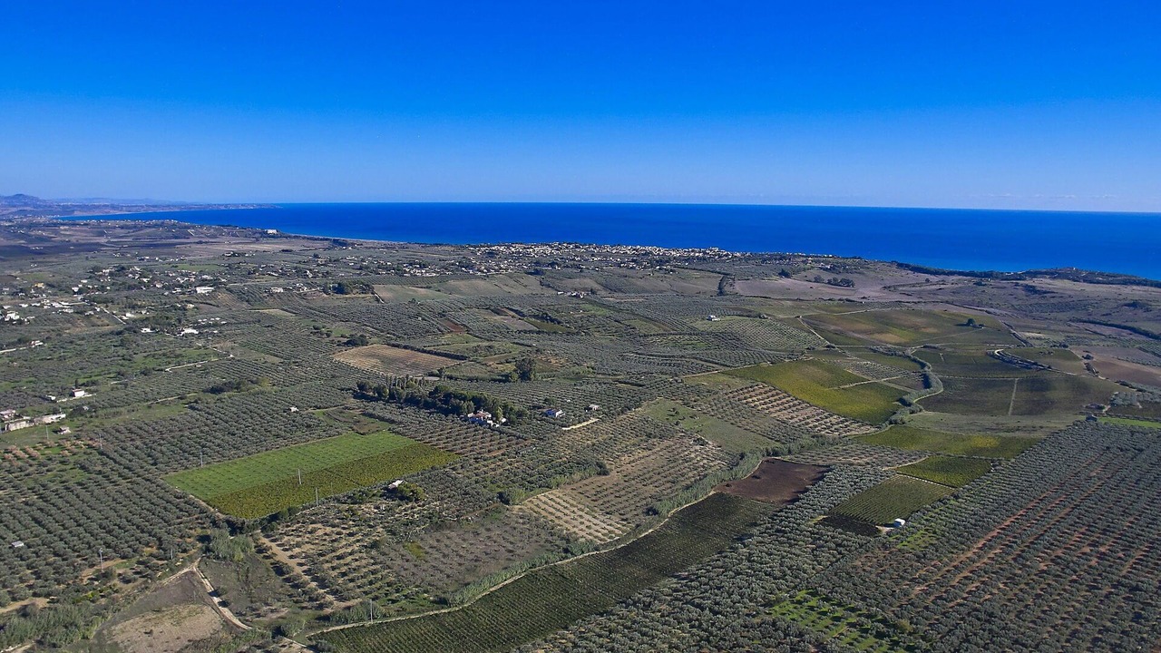 Photo of Others in Castelvetrano