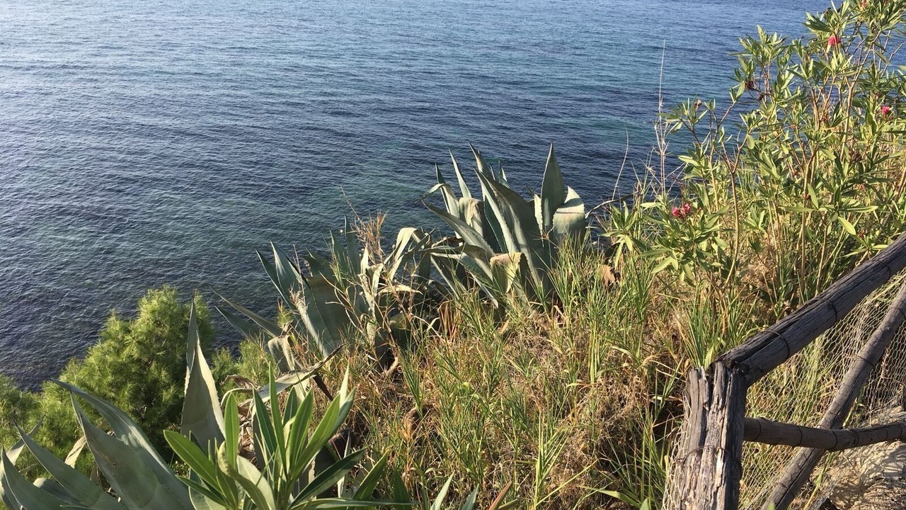 Photo of Others in Termini Imerese